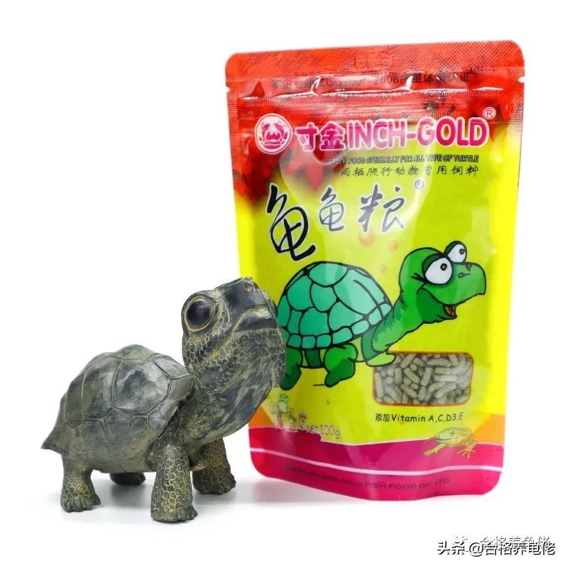 寸金龟粮怎么辨真伪,寸金和海豚龟粮哪个好