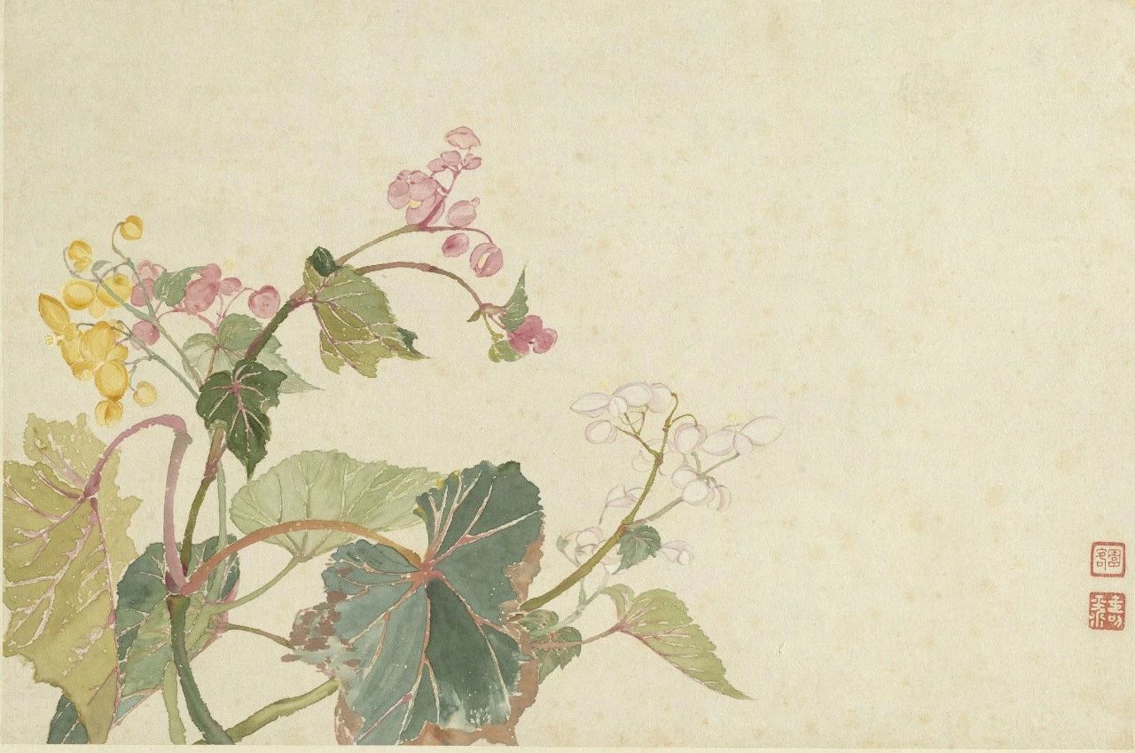 学习画画的10个误区,学习中国画的十大误区