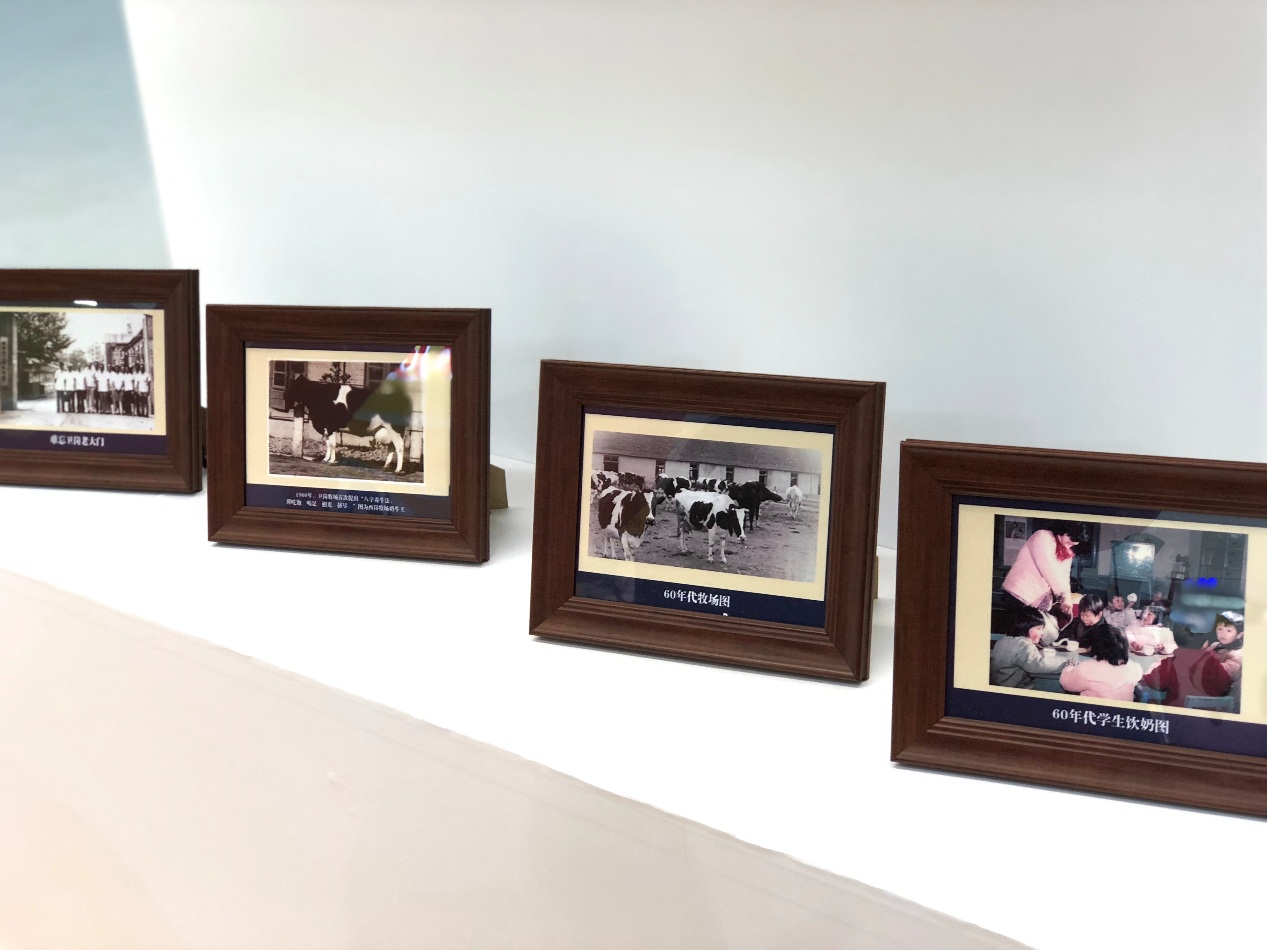 中国乳业百科全书解说,中国乳业七十年发展历程