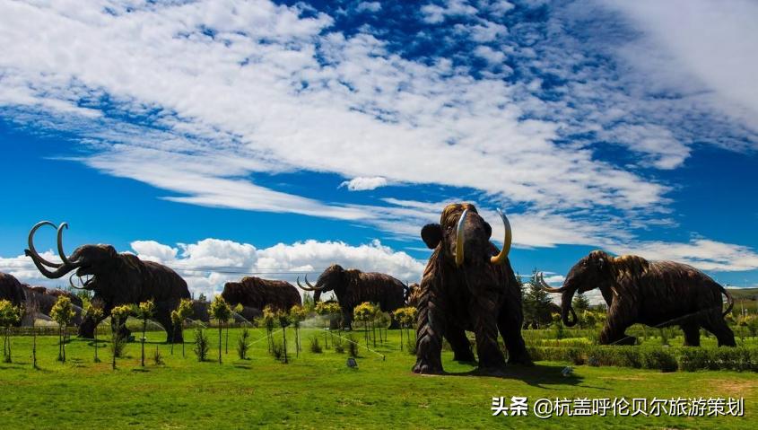 自驾游内蒙草原需要关注什么,带孩子去草原旅游必备物品