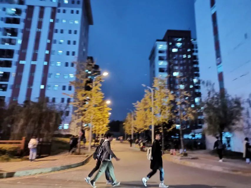 向往的生活1中的小院,精装版向往的生活