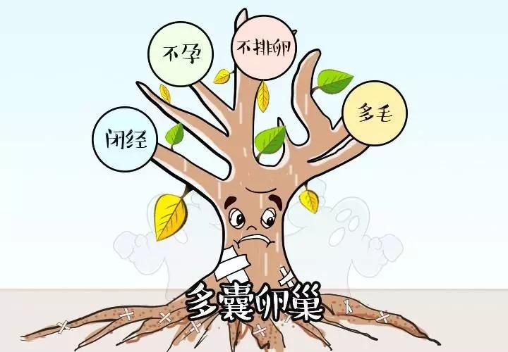 13岁女孩脸上长青春痘是什么样的,14岁脸上长疮是什么原因