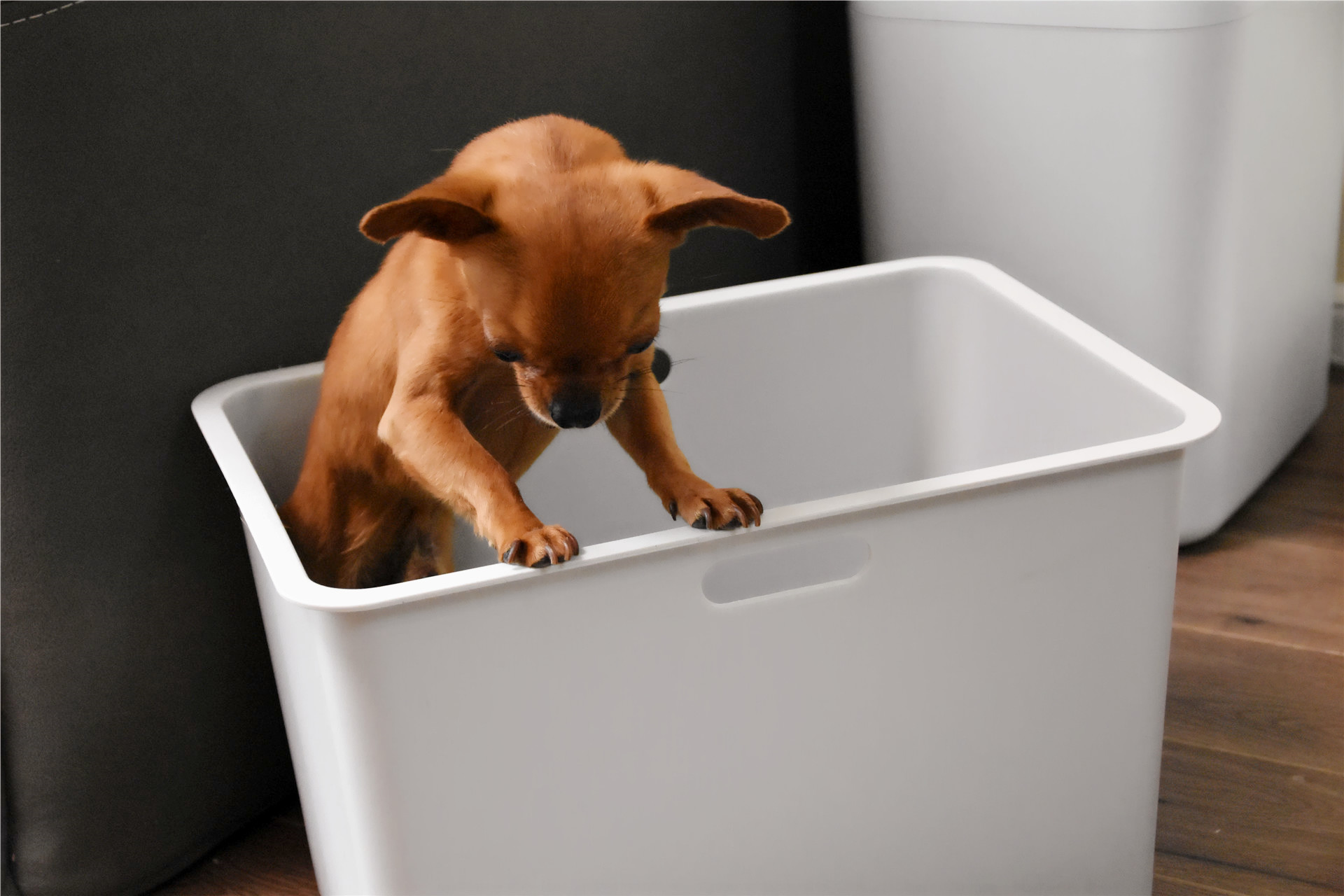 小米有品上线收纳神器，大容量，自由叠加