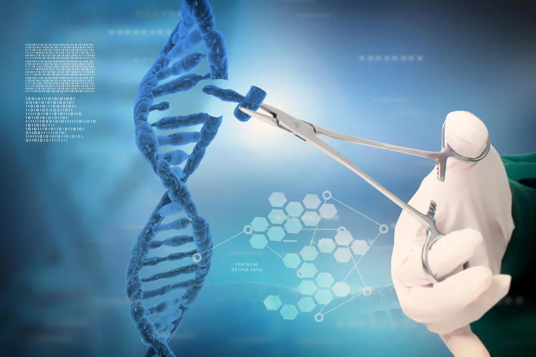 吉三代丙通沙国内价格,吉三代丙通沙哪里可以买到