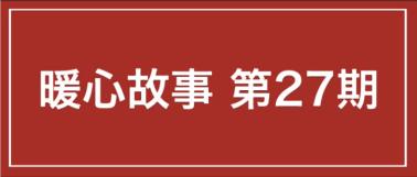 救助流浪猫加菲猫,被遗弃刚出生不长的加菲猫