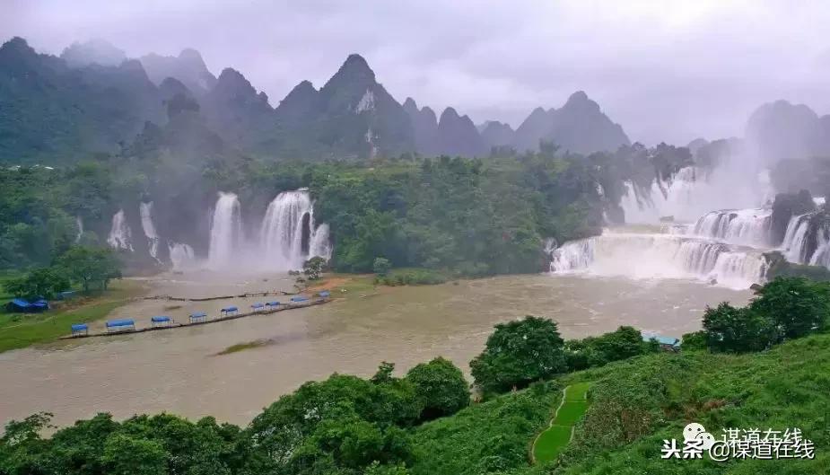 康养是指什么,康养是健康管理吗