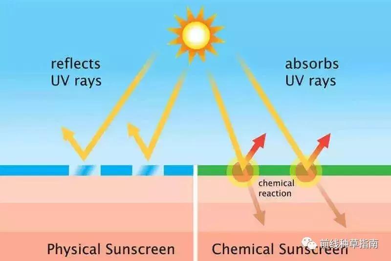 动物防晒VS人类防晒，食物链顶端的我们居然败了？！