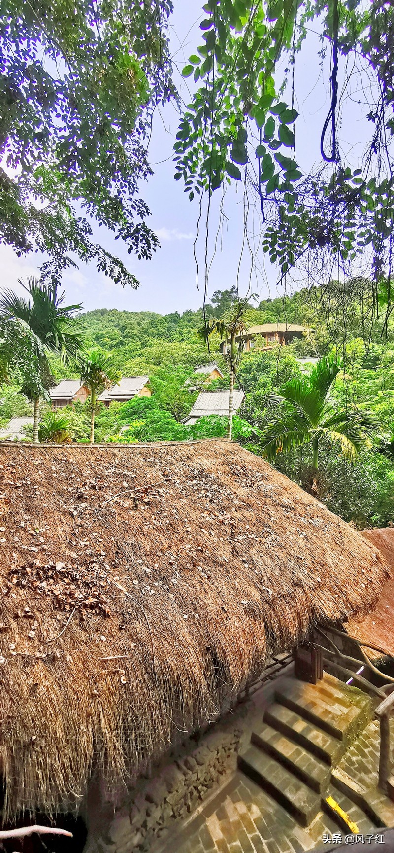三亚这个用一难吃果子命名的地方，见血封喉皮做衣服，妇女都纹面