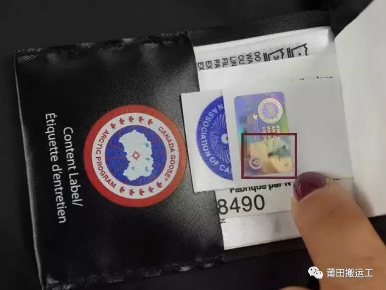 迷彩加拿大鹅多少钱一件,真正的加拿大鹅怎么样