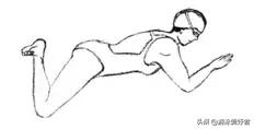 蛙泳比赛技巧,游蛙泳的技巧