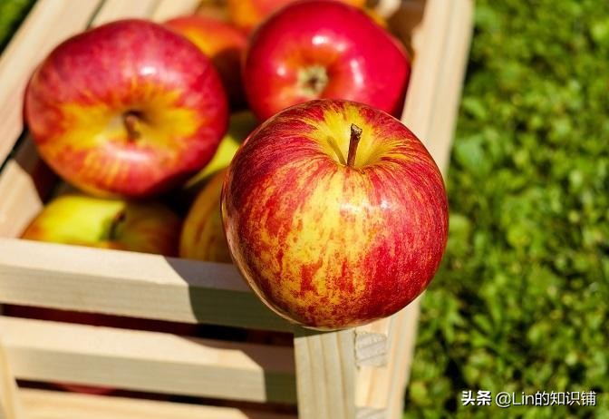 生活中12个有趣的冷知识,十个趣味冷知识让你有一丝凉意