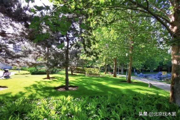 芒种旅游景点推荐,芒种至仲夏节气