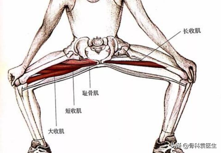 膝关节的痛的位置,膝关节疼痛原始点