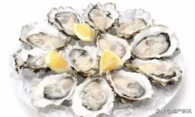 市场上最常见的十种淡水鱼,中国十大水产品排行榜