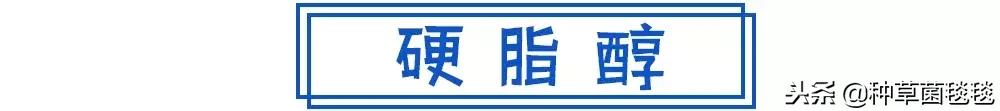 从小用到大的它，竟然成了今年爆款？