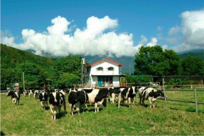 台湾环岛14天,台湾环岛8日游性价比高吗