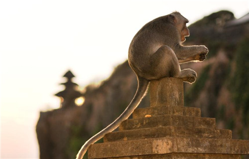 性骚扰、抓小偷……这些年我们在海外旅游都经历了啥？