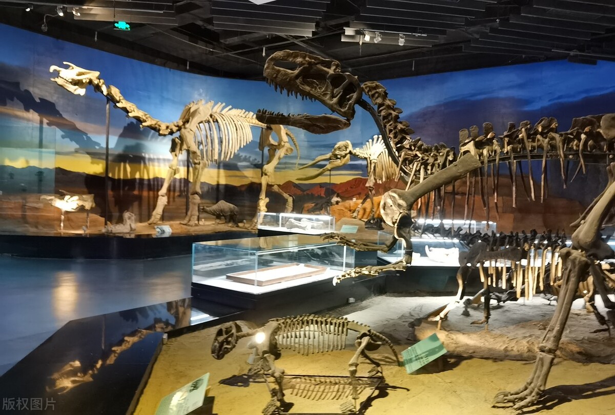 世界上地球最大的巨型生物,10种地球上最惊人的史前动物