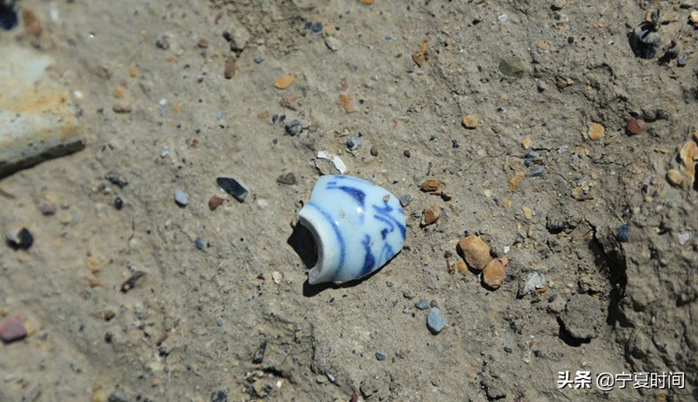 西夏窑址,西夏瓷窑址