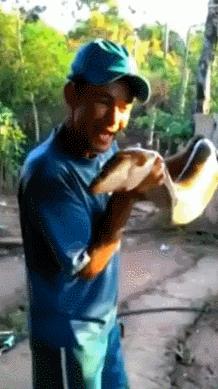 小伙玩了一下电鳗，直接口吐白沫倒下，我们该怎么和电鳗玩耍？