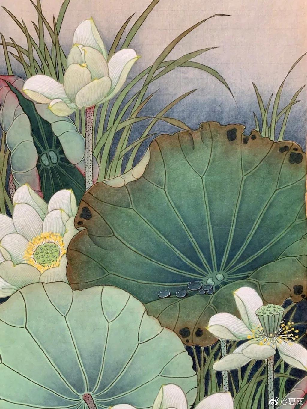 影帝夏雨书法真迹,演员夏雨晒书法作品