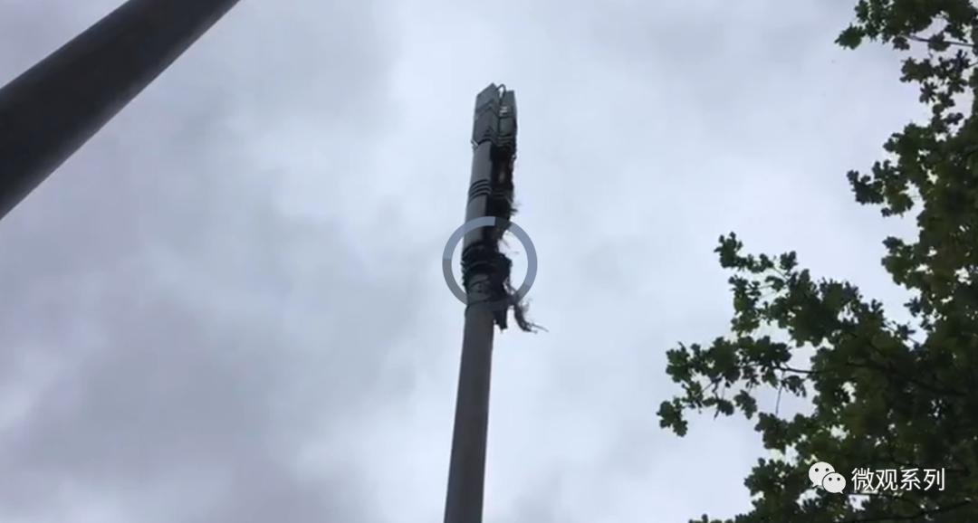 信息韭菜们的狂欢