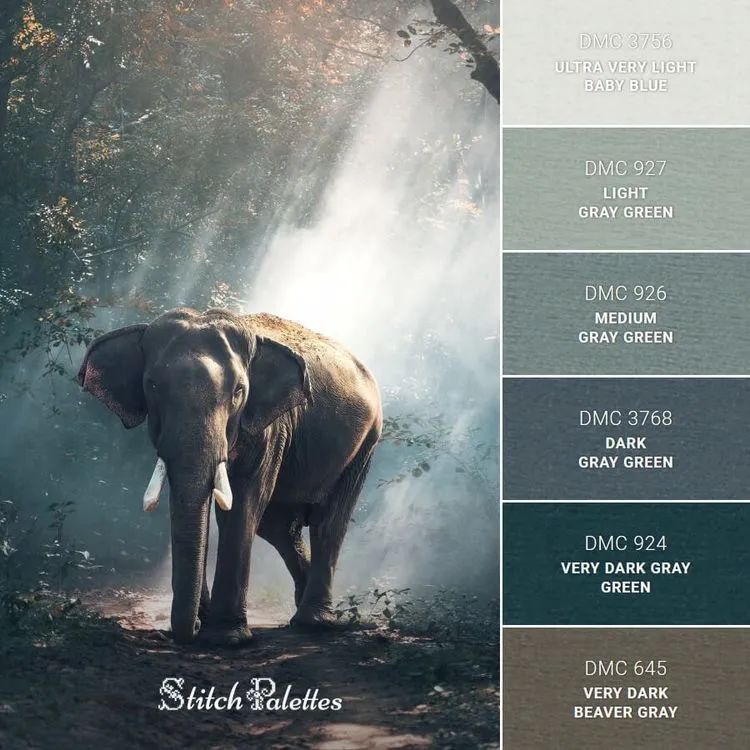 动物配色大全视频,配色的设计灵感