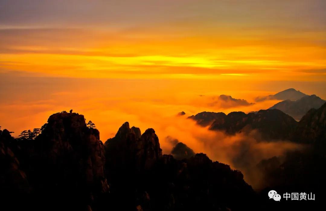 榛勫北绉嬪ぉ鎵撳崱,榛勫北绉嬪啲鎽勫奖澶ц禌