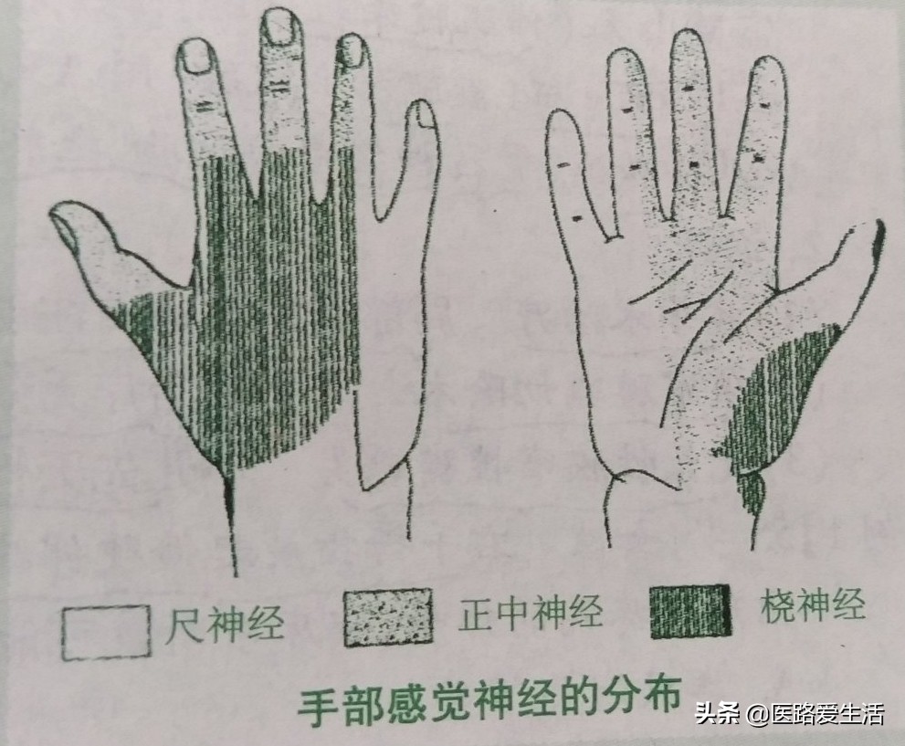 治疗神经损伤的膏药,治疗神经损伤的药