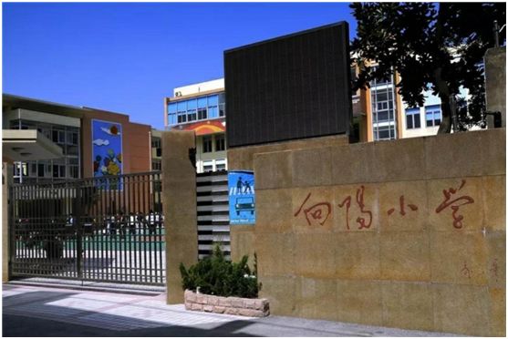 上海十大最好小学排行榜,上海各区体育特色学校