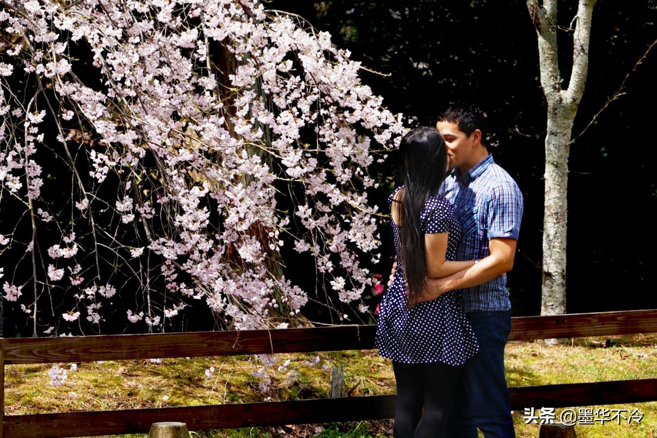 京都一眼千年的美景,京都永恒的美