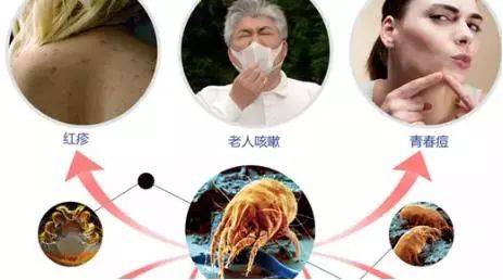 卫生间硅藻泥吸水垫ins,卫生间硅藻泥日本