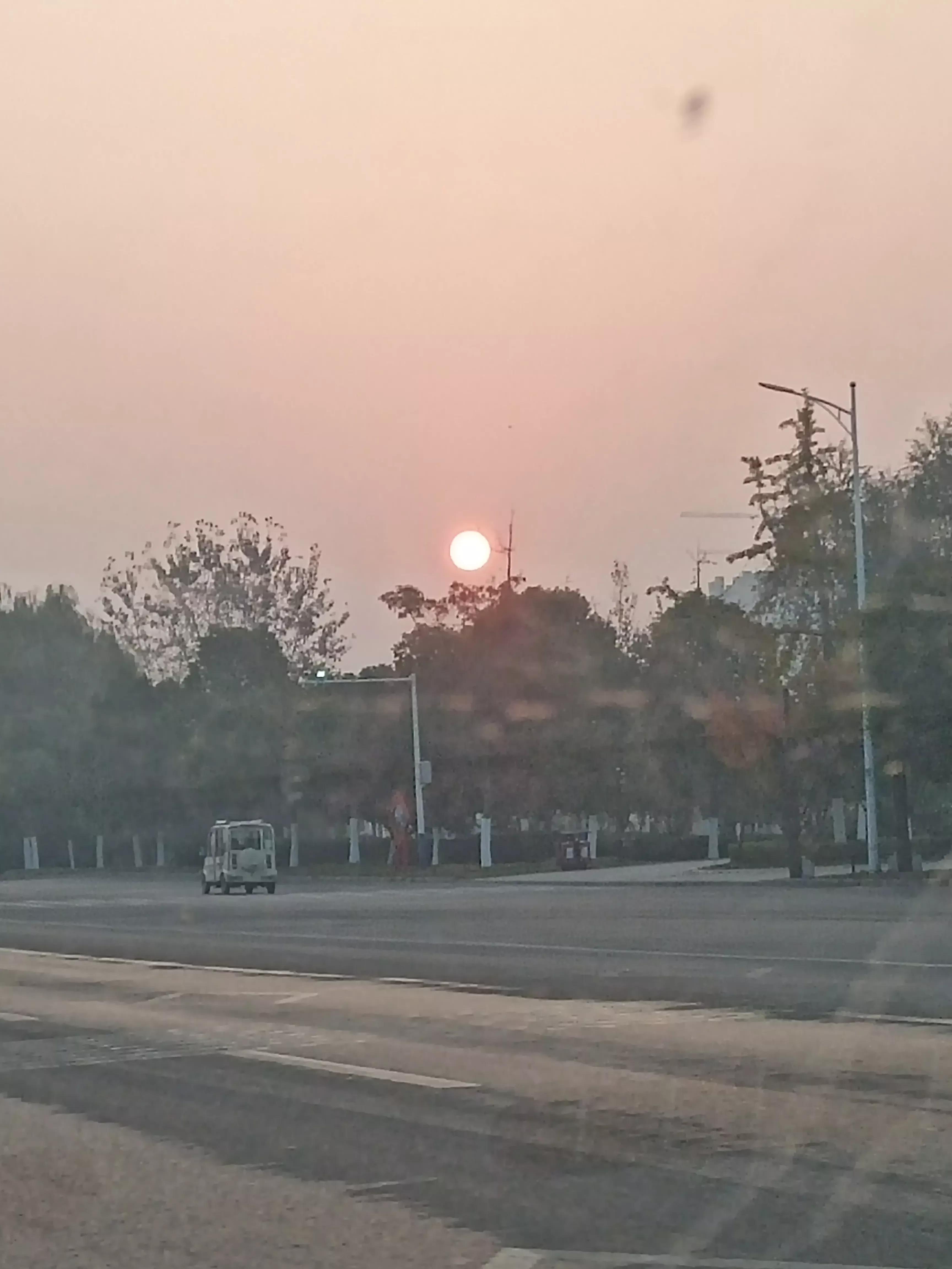 光威直柄雷强竿,光威直柄竿