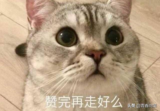 买电脑显示器应该关注些什么,新手电脑显示器如何选购