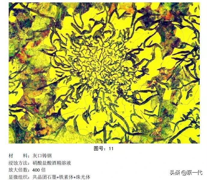 马氏体、奥氏体、珠光体，20种材料彩色金相，带你轻松识别