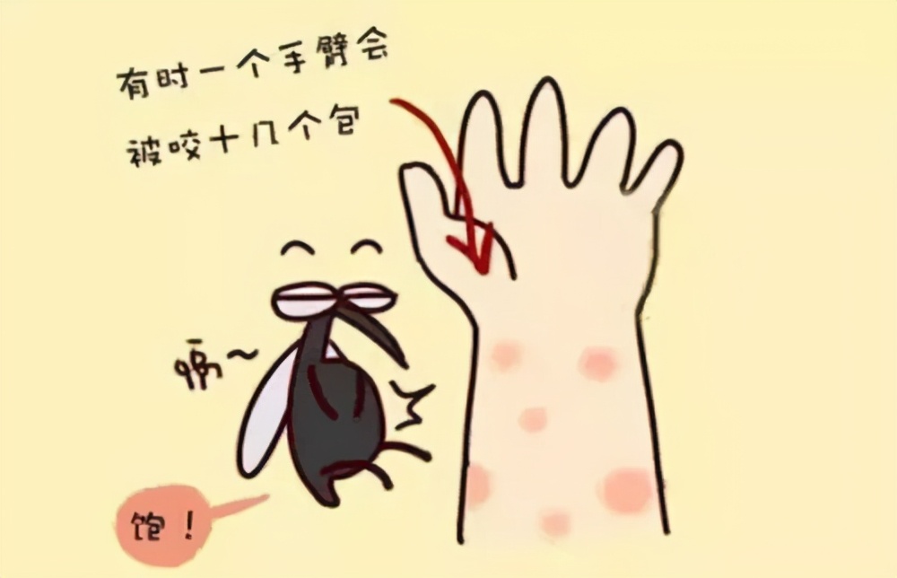 夏天农村厕所苍蝇怎么处理,夏季厕所蚊虫多怎么办