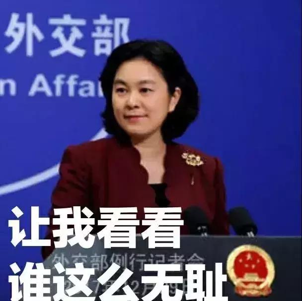 外交女神华春莹发飙记