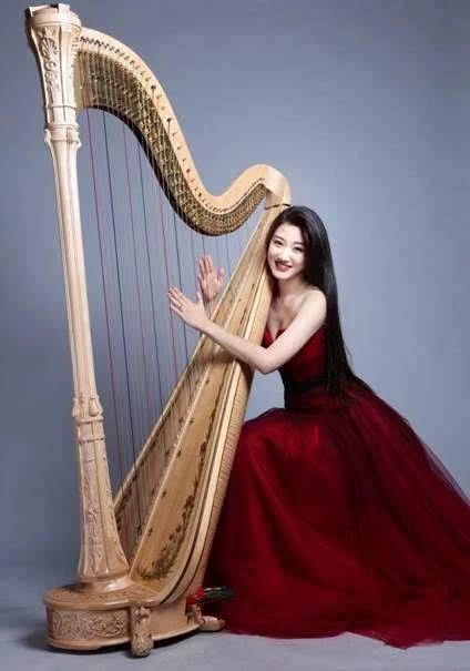 十大适合新手的乐器,所有乐器里哪个最有气质