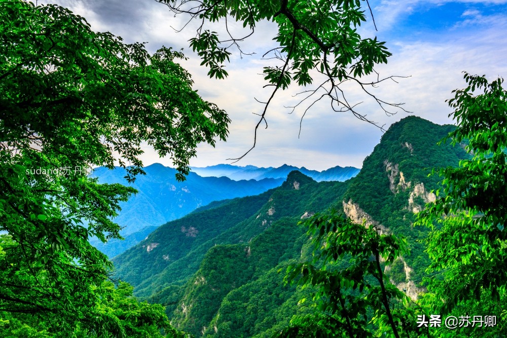 最美神都洛阳,古都洛阳一道靓丽的优美风景线