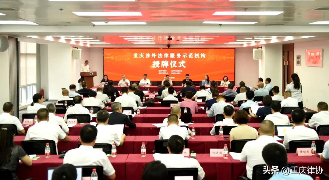 涉外法律服务机构成立,涉外法律服务