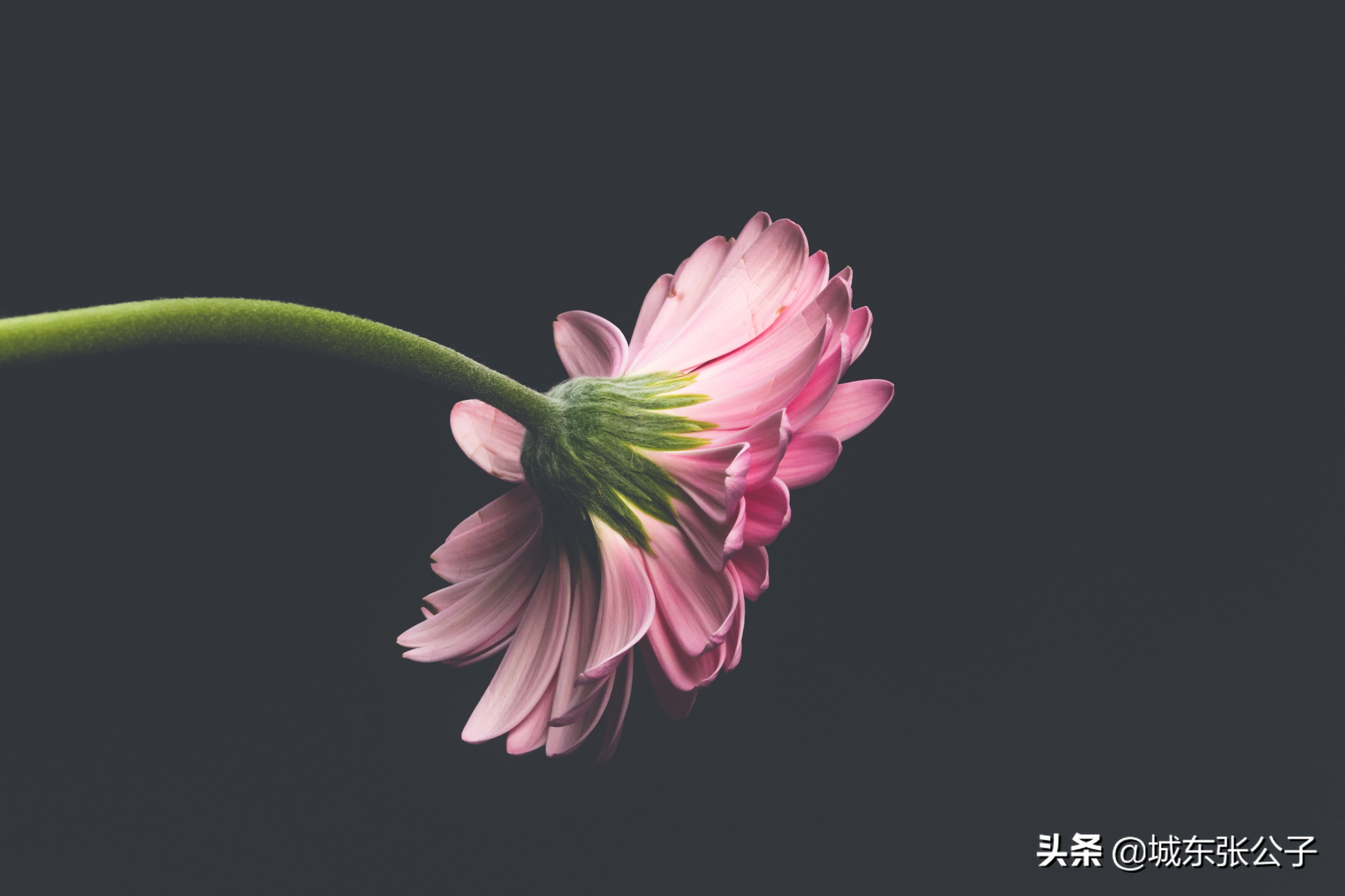 对待心智不成熟的男人怎么办,心理不成熟的男人表现