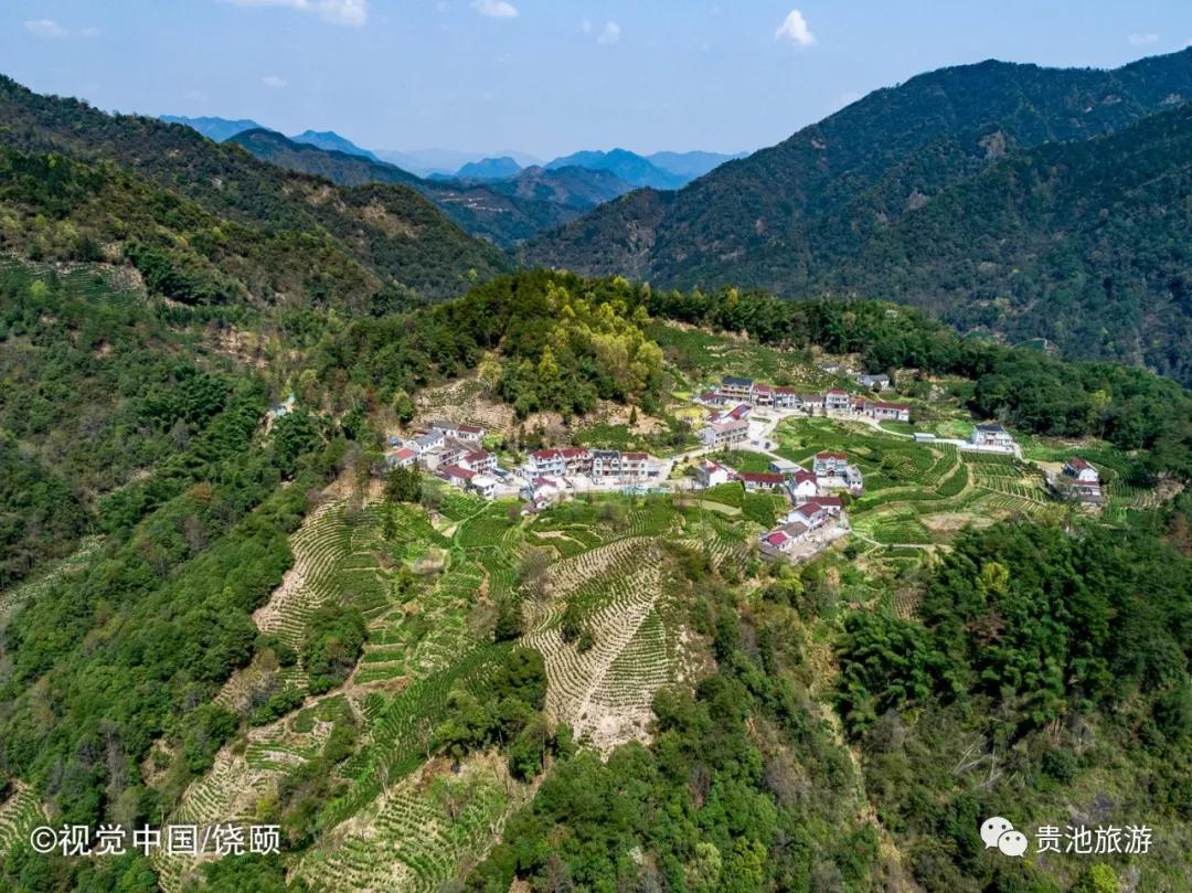 一杯清冽的酒,一杯清茗静心