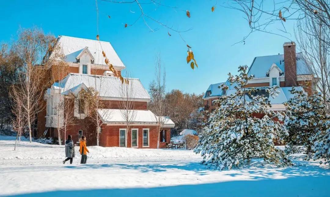 外面零下20℃，绿岛却沸腾了...