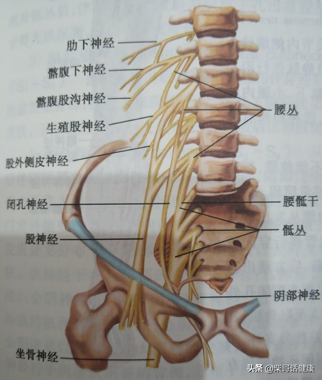 颈椎诊断,颈椎腰椎诊断怎么写