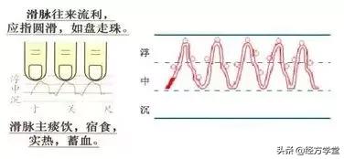 把脉纸上学，得来终觉浅！