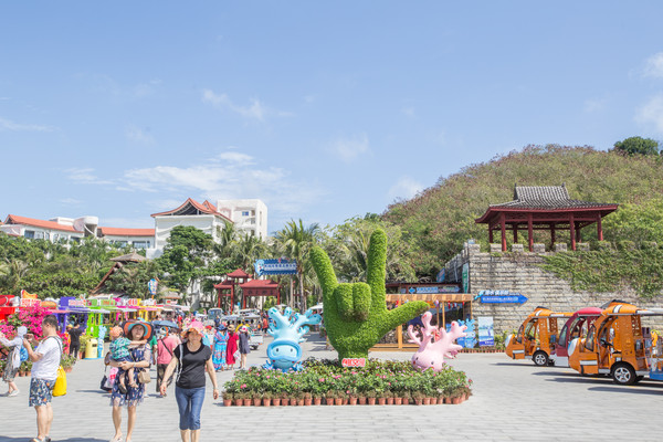 三亚烧钱项目,三亚最费钱的项目