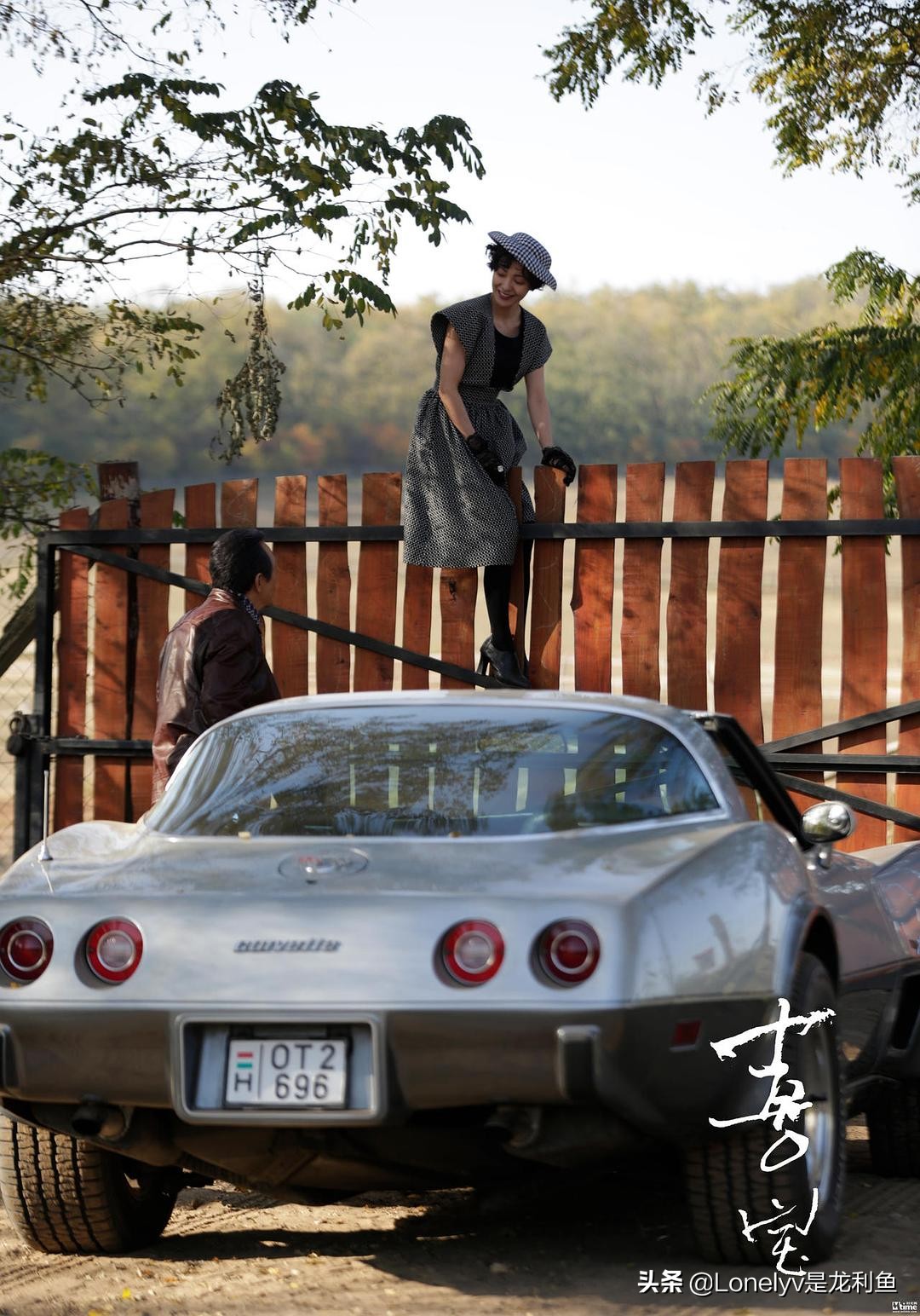 毁誉参半下一句怎么说,毁誉参半句子