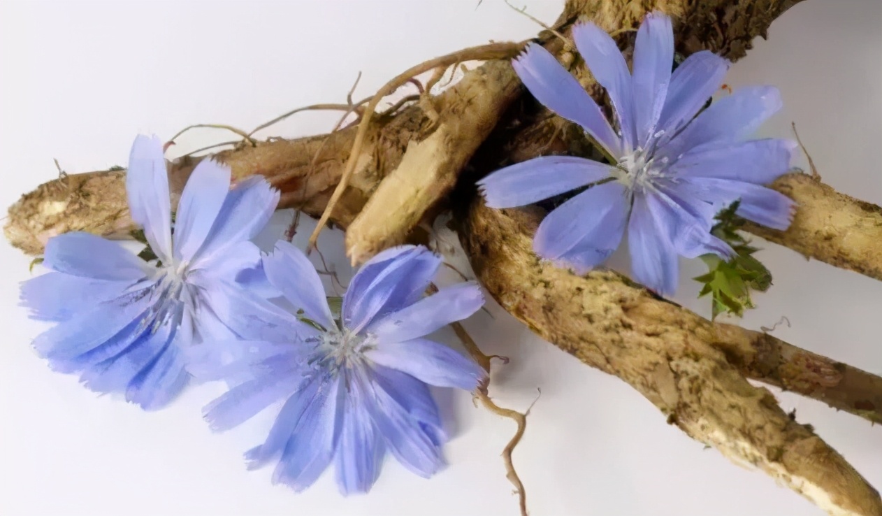 男子从不喝酒尿酸高,男子从不喝酒尿酸720引发肾衰竭