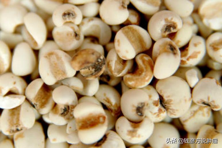 这2种食疗方法可助你一臂之力,两种中医药的养生方法及作用