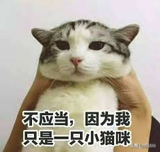 跟猫咪玩耍的时候它咬人,猫咪咬人怎么办一招教你制服